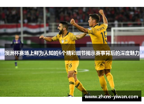 澳洲杯赛场上鲜为人知的6个精彩细节揭示赛事背后的深度魅力